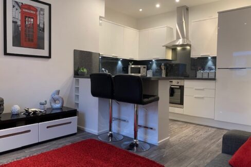Living Area & Kitchen